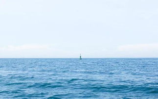 关于大海日出的诗句现代诗