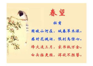 最贵的信古诗诗句