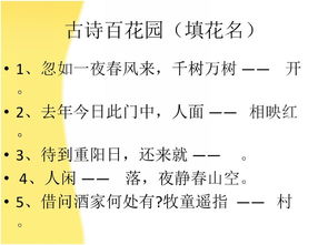 关于诗句竞赛的内容