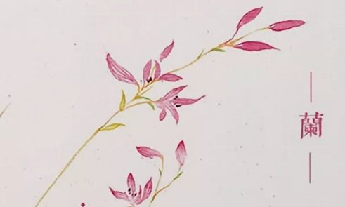 关于绣花的古诗句