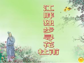 关于花的诗句古诗二级