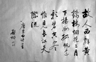 关于春天诗句及意思