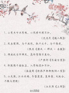 发现美的眼睛古诗句