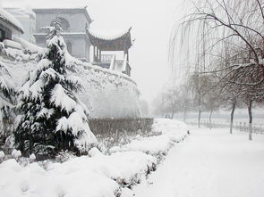 关于雪的名句古代诗句