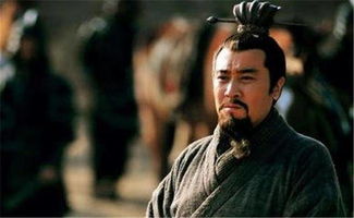 刘备关于温暖的诗句