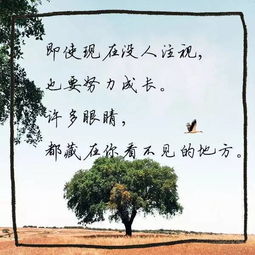 扬帆,起航,诗句,放飞