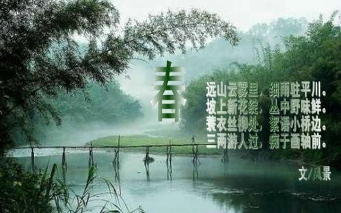 关于春风景的诗句古诗词
