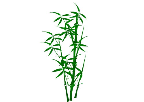 竹子,诗句,女子
