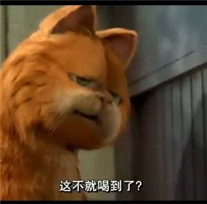 关于失败后失望的诗句