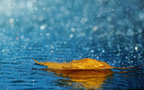 关于雨滋润庄稼的诗句