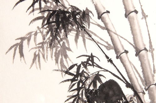 形容竹的古诗句