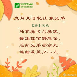 秋韵的古诗句