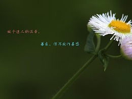关于保护小花的诗句