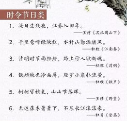 关于诗句的作文100字