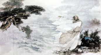 关于菊花的诗句屈原