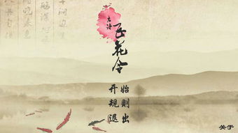 飞花漫空古诗句