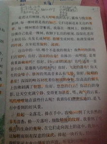 悼念德高望重老人的古诗句