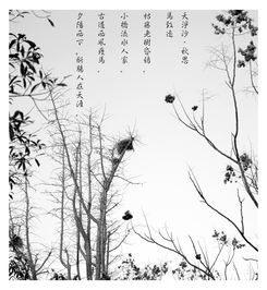 关于兰州家乡的诗句