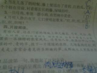 关于散步的古诗,散步的古诗句子,散步遛狗古诗