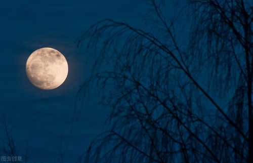 带有今夜的诗句,含今夜的诗句,今夜开头的诗句