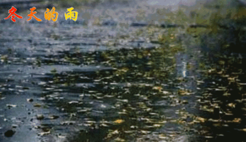 古诗,诗句,冬天