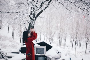 关于江南的雪的诗句
