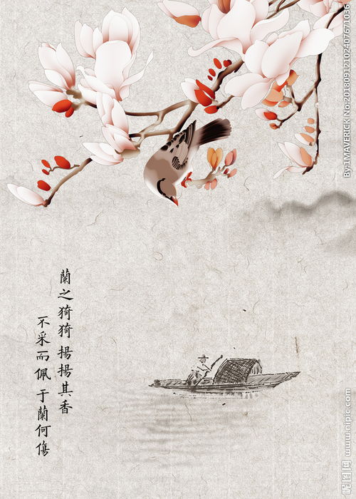 写一个关于燕子的诗句