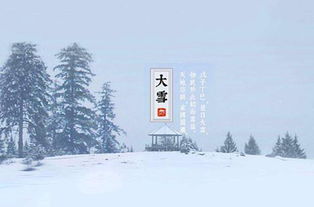 关于一夜大雪的诗句
