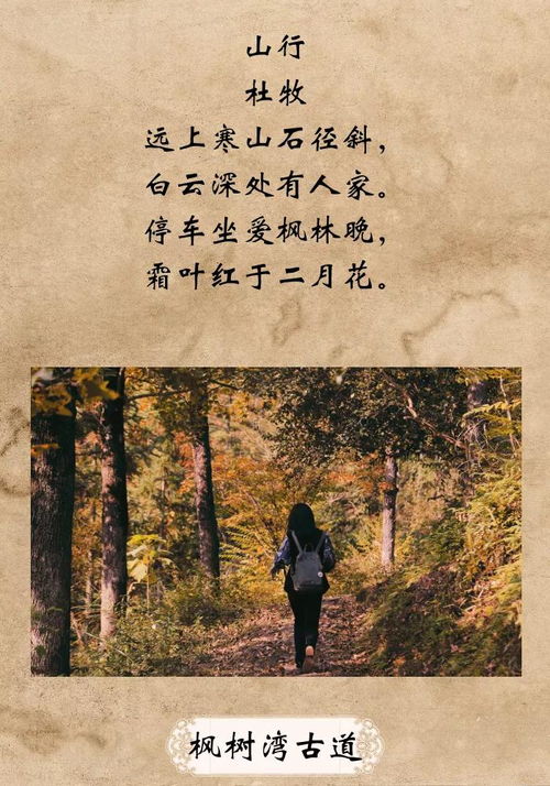 云和,诗句,相关