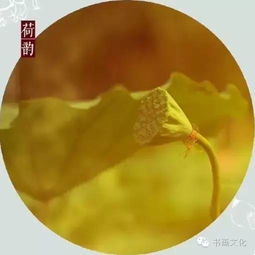 荷花秋风诗句古诗