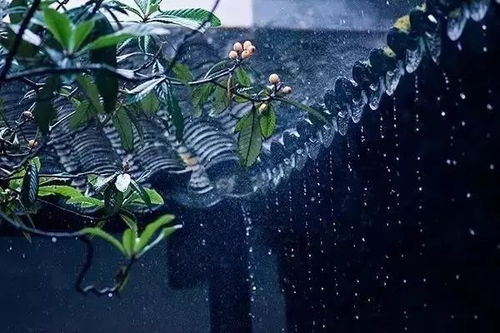 关于冬天的雨的诗句古诗