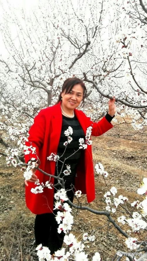 关于黄玫瑰的诗句