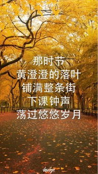 芦花,诗句,秋季,赞美