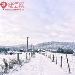 有关雪花的古诗句