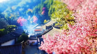 带有人的古诗句,写出带月的古诗句,两句带月的古诗句