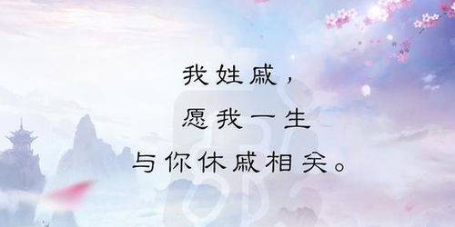 喜欢但是不能在一起的诗句,表达不能在一起的诗句,恨不能在一起的诗句