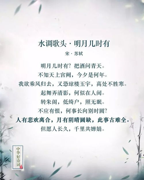 诗句,哲理,生活