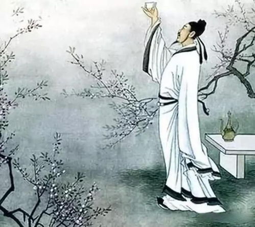 李白有关酒的诗句大全,李白关于读书的诗句古诗,李白写的关于读书的诗句