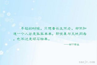 关于轻时光的诗句