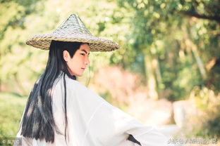 形容阳光帅气男儿的古诗句