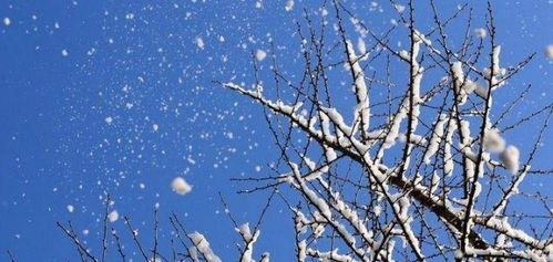 关于大雪的诗句形容东北的