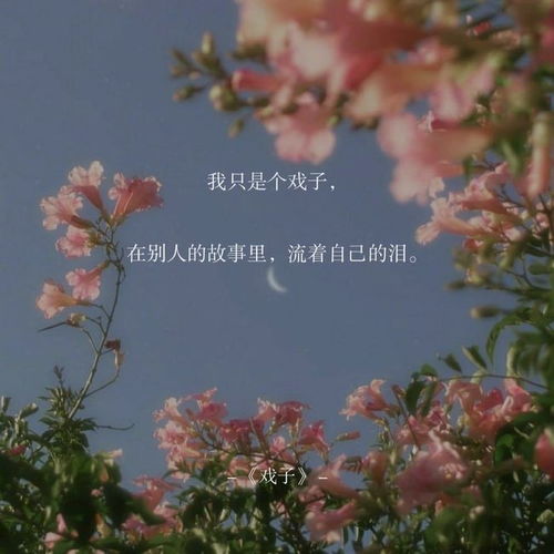 席慕蓉爱情诗句,关于诗和远方的诗句席慕蓉,故宫雪景的诗句席慕蓉