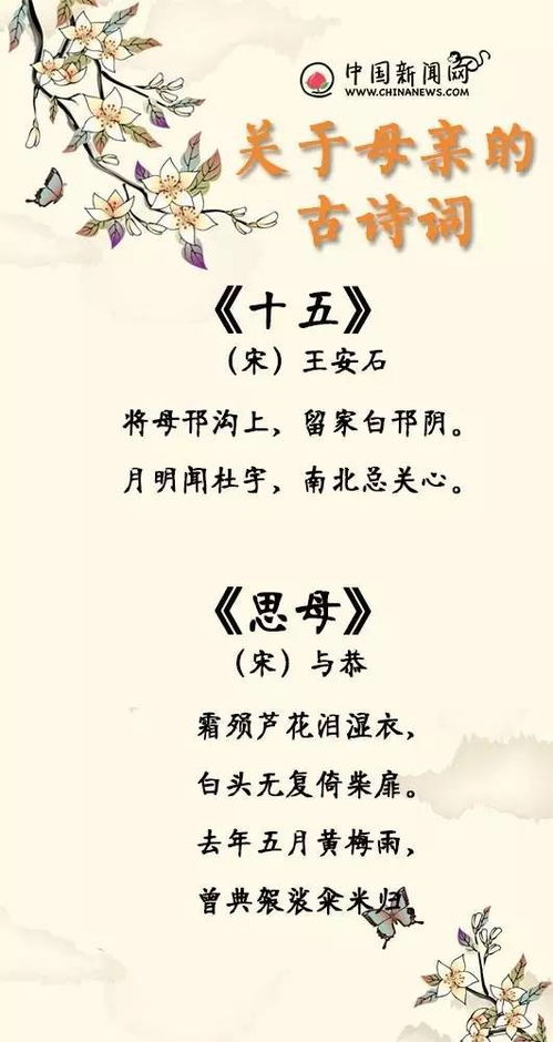 关于家的母亲诗句