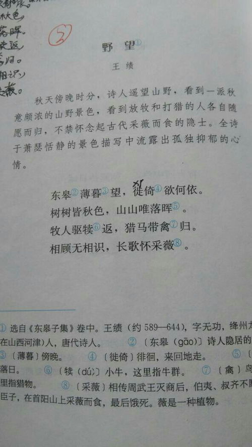 八级上册优美古诗句