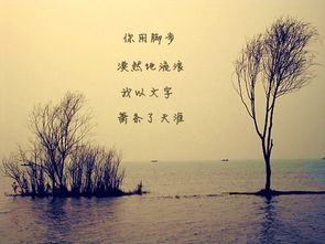关于感情心态平静诗句