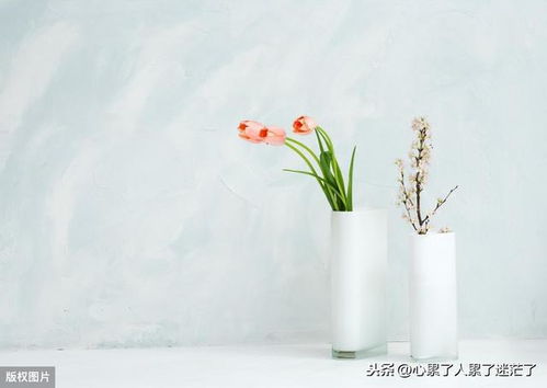 过好每一天的古诗句