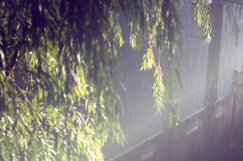 雨夜听雨唯美古诗句