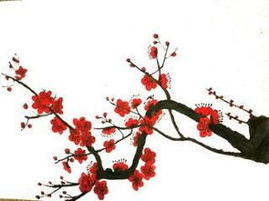 关于梅花的诗句作业帮