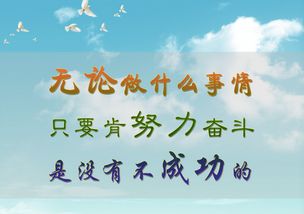诗句,不努力,失败