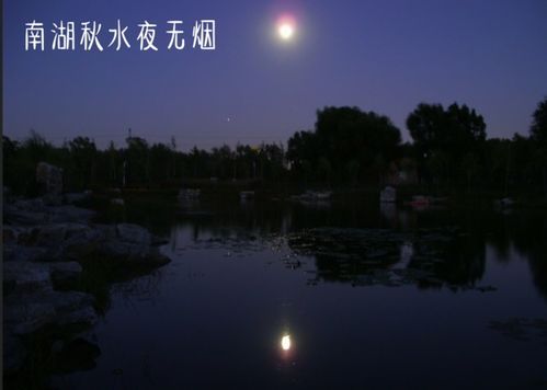 关于描写秋水的诗句